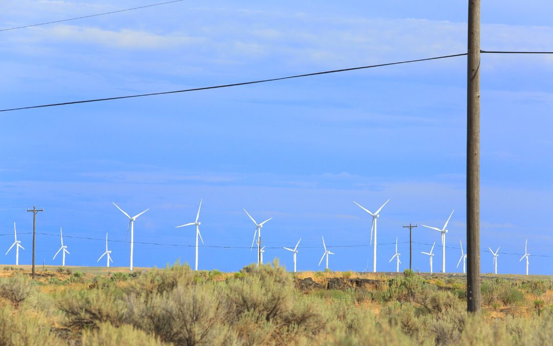 En la Sección 3 de la "Caja de Herramientas Climáticas para Municipios" se encuentra el listado de referencias para cada departamento.