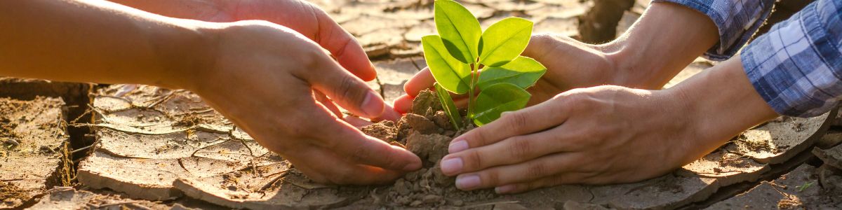 En el PND los objetivos que abordan los temas concernientes a la gestión ambiental y al cambio climático tienen dos propósitos fundamentales.