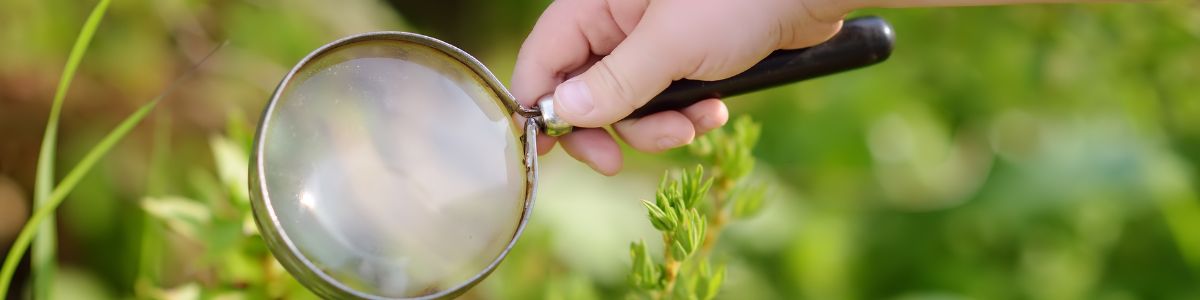 Te presentamos los cinco conceptos más importantes que debes conocer para iniciar estrategias o políticas de acción climática.